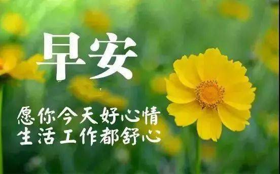 最新版非常漂亮的早上好表情图片 温馨早安心语语录