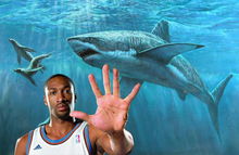 NBA薪金何处去 阿里纳斯重金养鲨鱼