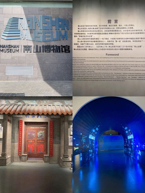 宝藏篇深圳40个主要博物馆都在这里免费 