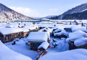 东北雪乡旅游费用(去东北雪乡旅游需要多少钱)