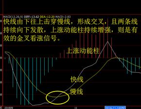 姜伟macd共振指标怎么用怎判断？