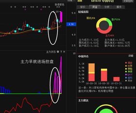 中国中冶是蓝筹股票吗？