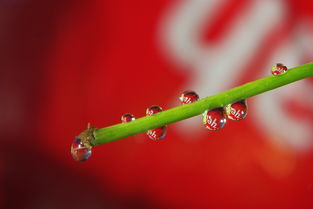 行草丛的写法，行草丛字的写法