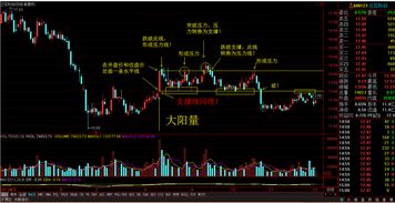 请问股票里支撑线在什么位置？