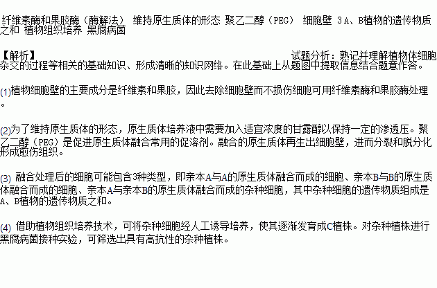 纤芥之病造句（纤是什么意思？）