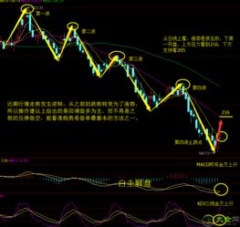 目前油价还会不会继续下降呢大家怎么看待油价的涨跌(油价还会继续下跌吗)