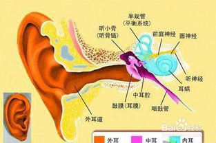 耳朵痛该怎么办