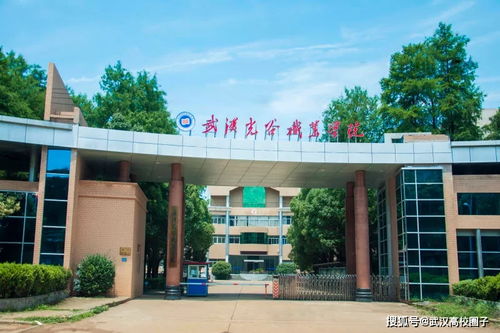 武汉光谷职业学院？武汉光谷职业学院怎么样