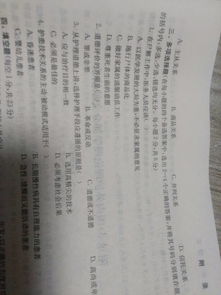 护理伦理学试题及答案