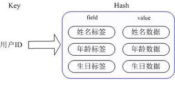 Redis的淘汰策略是哪几种