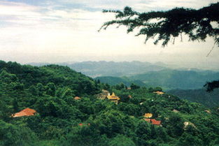 避暑胜地莫干山消费很高吗 有没有不收门票的景点和停车场 (潭村免费停车场)