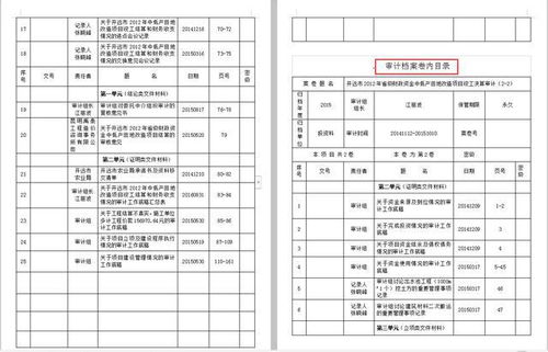 项目审计 方案模板