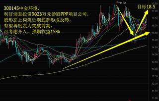 有些股票没有说要重点关注或介入的那么代表什么?但是却被列入是黑马的.