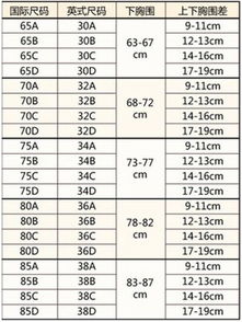 内衣尺码大小分类(内衣尺码大小分类38/85是什么罩杯)