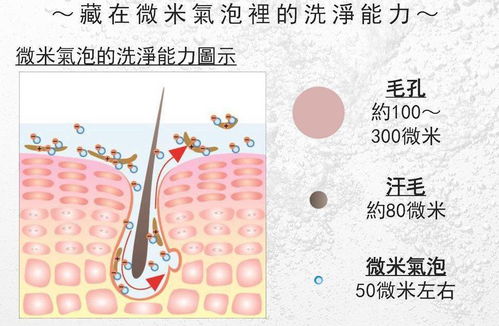 只用洗面奶清洁 怪不得你黑头痘痘不断