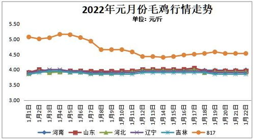 肉鸡价格行情预测（肉鸡价格行情分析）