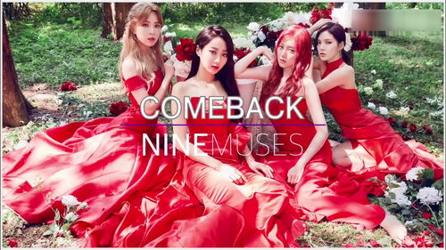 nine muses wild(wild ninemuses音译歌词)