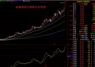 002721是什么类型股票