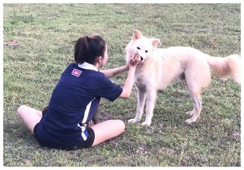 小姐姐给狗喂食,大狗二话不说直接扑过来,结果肠子都悔青了