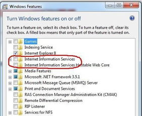 windows7能否设置为 internet打印服务器 