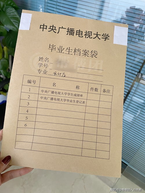 大学生毕业后的档案问题如何处理(大学生毕业后的档案问题如何处理好)