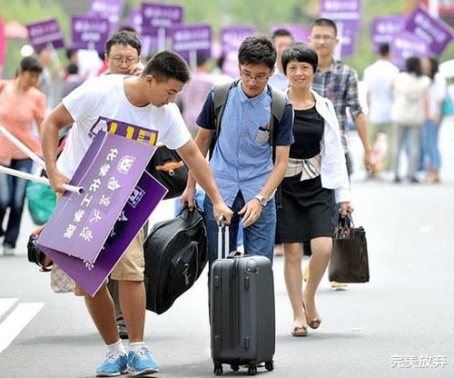 为什么大学生毕业,他们都去做了销售