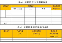 果蔬加工项节能评估报告