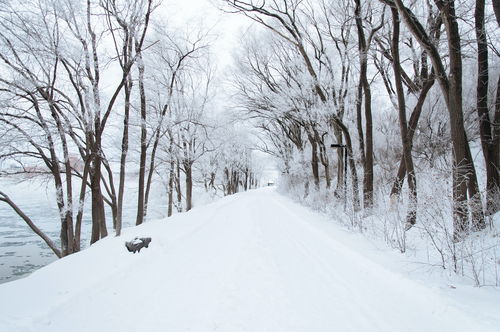 为什么你拍的雪景照,不是脏就是秃 5个诀窍助你拍出最美的雪