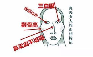 女人这三个地方越大,越有钱 发财命 劳碌命......一眼就能看穿