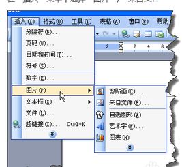 word中插入的图片大小设置了为什么自己会变 