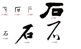汉字的演变过程图 写清甲骨文,金文等 