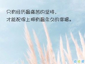 经典文艺短句子带图片 越努力越幸运