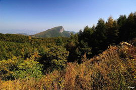 北京白草畔自然风景区