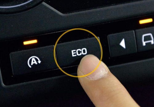 仪表盘上显示的ECO是啥意思 老司机 用对了方法,油耗低