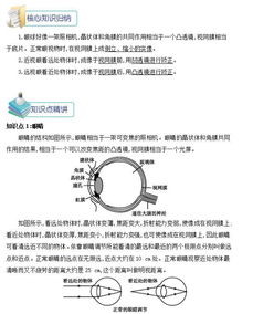 八年级物理知识点精讲之眼睛和眼镜