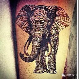 大象纹身,有意思 
