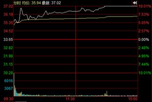 今天怎么了股票怎么不动了2022.7.19