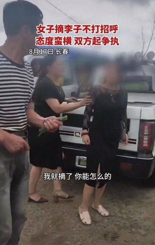 我就摘了,你能怎么的 女子开车偷摘李子,被发现后怒怼果农