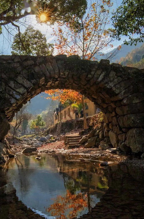 国庆去哪儿 不出台州就能看到的秋日美景,是时候走走了