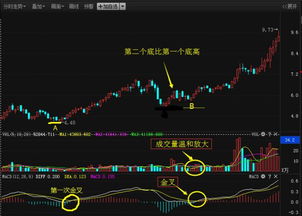 选股的标准是什么?