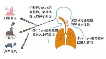 雾霾对健康有哪些危害