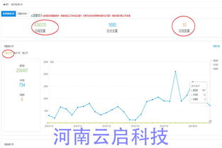 上海有多少家网络公司?