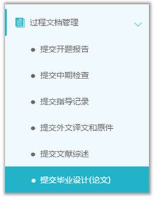 毕业论文提交
