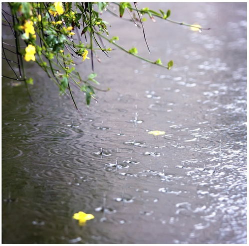 雨后 