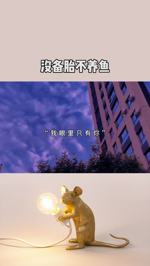 天秤座没备胎不养鱼,说爱你就是真的爱你 