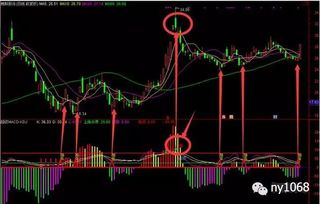 股票请问股票中的“macd,LWR,BLAS,KDJ,ROC,W&R等等都是什么意思？拜托了各位，谢谢？