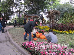 乌石山 花朝节 为百花祝寿 市民踏入花圃拍照 