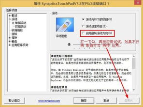 win10设置双指滑动方向