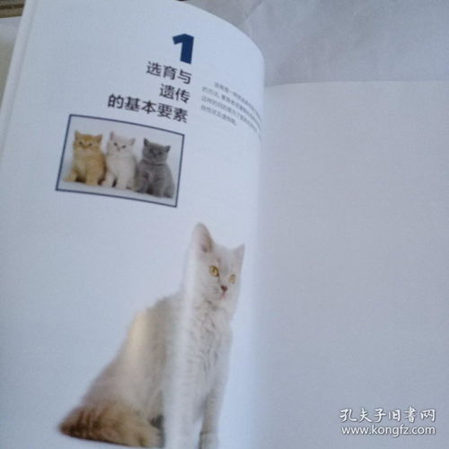 猫繁育指导手册 精装