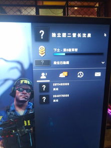 csgo完美平台游戏如何显示人物头像(csgo完美平台怎么显示战队名)